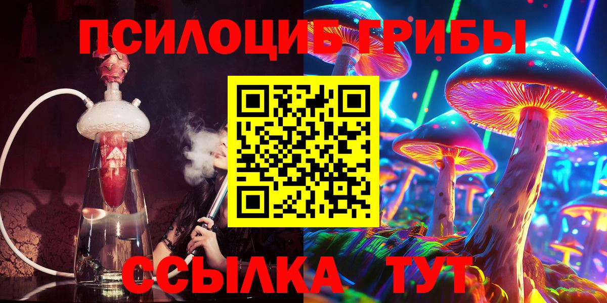Псилоцибиновые грибы GOLDEN TEACHER  Галлюциногенные грибы Psilocybe  Камышин  Вход с VPN 